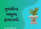 તુલસીના અમૂલ્ય ફાયદાઓ