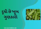 દૂધી છે ખૂબ ગુણકારી