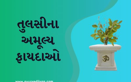 તુલસીના અમૂલ્ય ફાયદાઓ
