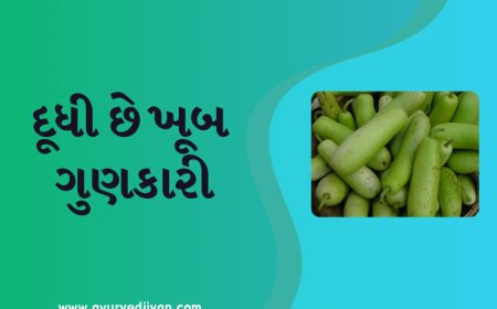 દૂધી છે ખૂબ ગુણકારી