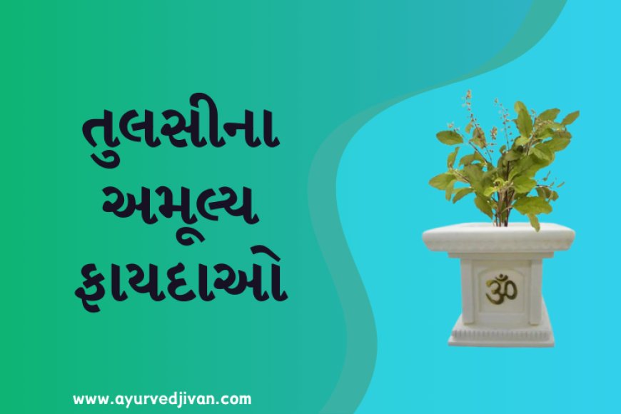 તુલસીના અમૂલ્ય ફાયદાઓ