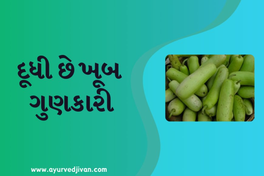 દૂધી છે ખૂબ ગુણકારી